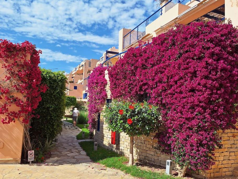 Sea View Cozy Apartment La Tanita Мохакар Екстер'єр фото